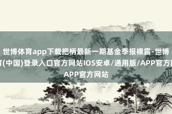 世博体育app下载把柄最新一期基金季报裸露-世博体育(中国)登录入口官方网站IOS安卓/通用版/APP官方网站