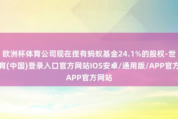 欧洲杯体育公司现在捏有蚂蚁基金24.1%的股权-世博体育(中国)登录入口官方网站IOS安卓/通用版/APP官方网站