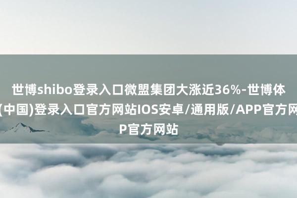 世博shibo登录入口微盟集团大涨近36%-世博体育(中国)登录入口官方网站IOS安卓/通用版/APP官方网站