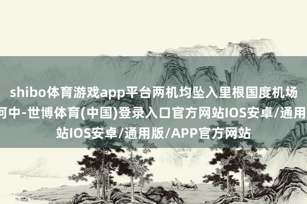 shibo体育游戏app平台两机均坠入里根国度机场隔壁的波托马克河中-世博体育(中国)登录入口官方网站IOS安卓/通用版/APP官方网站