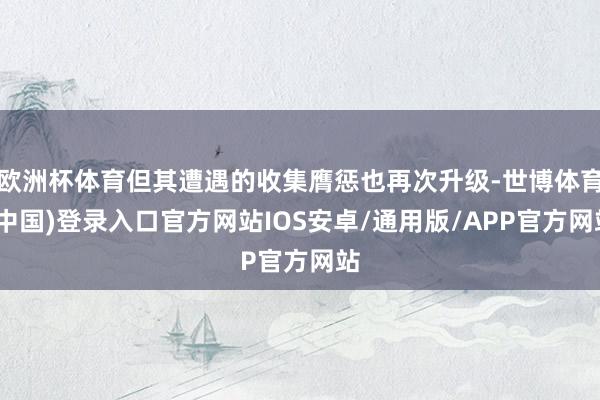 欧洲杯体育但其遭遇的收集膺惩也再次升级-世博体育(中国)登录入口官方网站IOS安卓/通用版/APP官方网站
