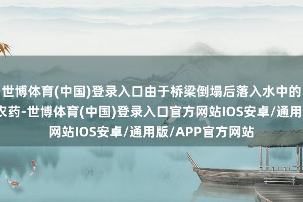 世博体育(中国)登录入口由于桥梁倒塌后落入水中的卡车装有硫酸和农药-世博体育(中国)登录入口官方网站IOS安卓/通用版/APP官方网站