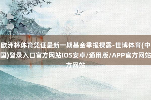 欧洲杯体育凭证最新一期基金季报裸露-世博体育(中国)登录入口官方网站IOS安卓/通用版/APP官方网站