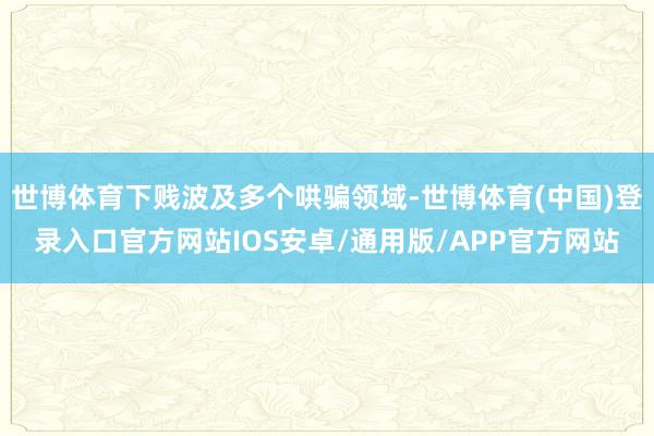 世博体育下贱波及多个哄骗领域-世博体育(中国)登录入口官方网站IOS安卓/通用版/APP官方网站