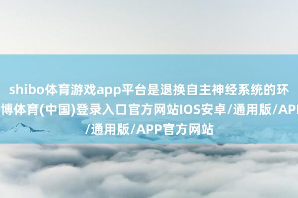 shibo体育游戏app平台是退换自主神经系统的环节节点-世博体育(中国)登录入口官方网站IOS安卓/通用版/APP官方网站