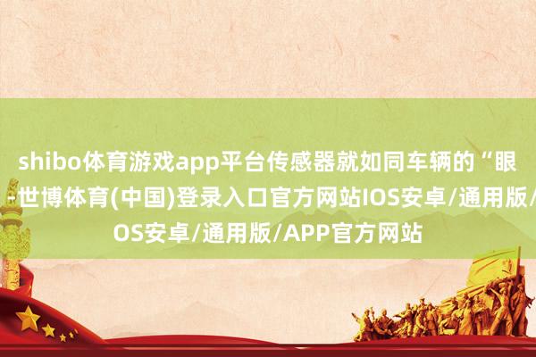 shibo体育游戏app平台传感器就如同车辆的“眼睛”和“耳朵”-世博体育(中国)登录入口官方网站IOS安卓/通用版/APP官方网站
