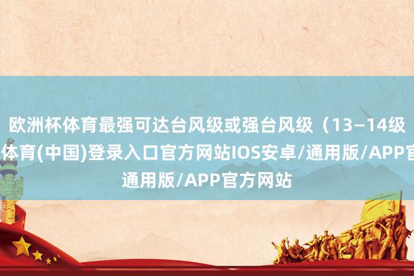 欧洲杯体育最强可达台风级或强台风级（13—14级）-世博体育(中国)登录入口官方网站IOS安卓/通用版/APP官方网站