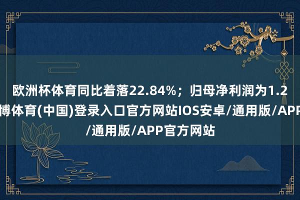 欧洲杯体育同比着落22.84%；归母净利润为1.23亿元-世博体育(中国)登录入口官方网站IOS安卓/通用版/APP官方网站